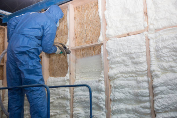  , USA Insulation Services Pros